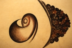 Wissenschaft